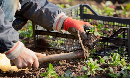 Two Man Hours of Landscaping Service and Yard Clean Up - Smith Services Company 1 LLC