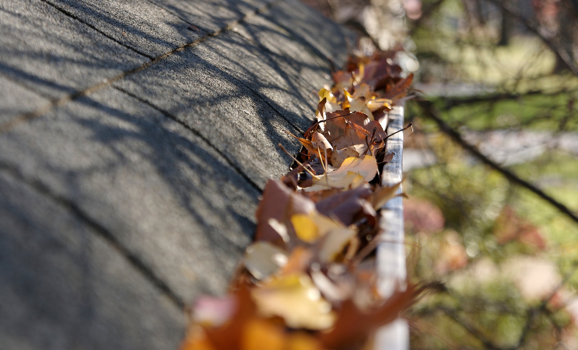 Professional Gutter Cleaning Service for a Single or Two Story Home