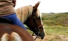 90-Minute Horseback Tour and Tasting at Wine Country Trails by Horseback (Up to 43% Off). Two Options Available.