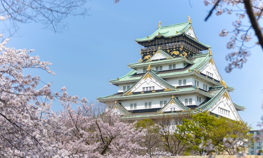Image 3: ✈ Japan: 8-Day Tour of Tokyo, Kyoto & Osaka with Flights