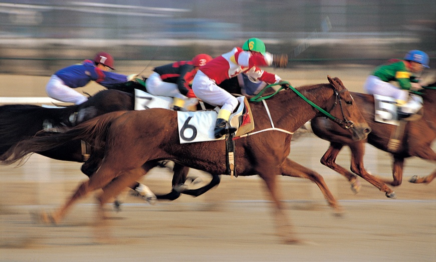 Image 1: Entry to Beaudesert Race Club