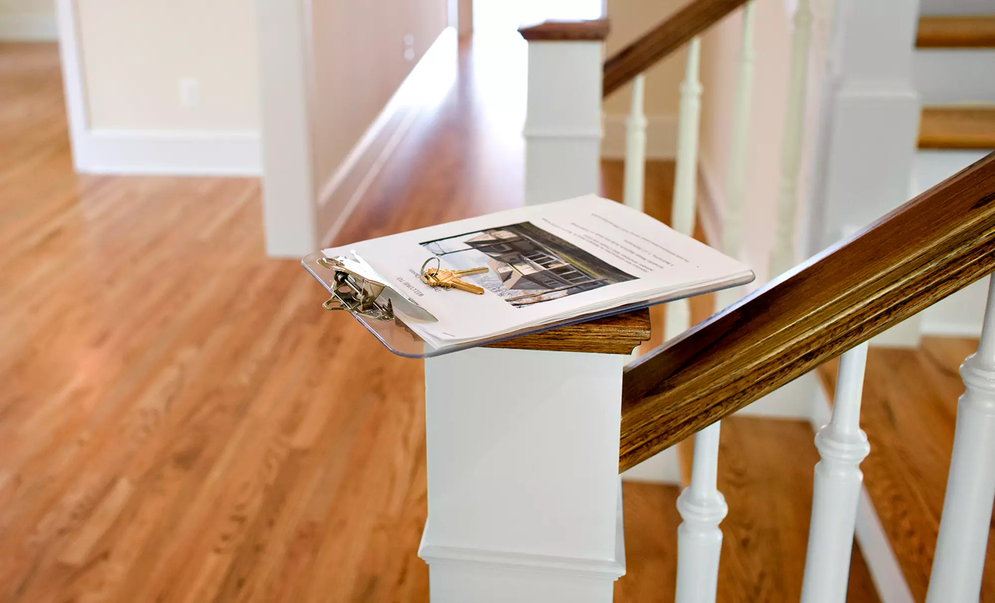Up to 71% Off Mold Inspection and Basement Evaluation from Ark Basement Services - Primary Image