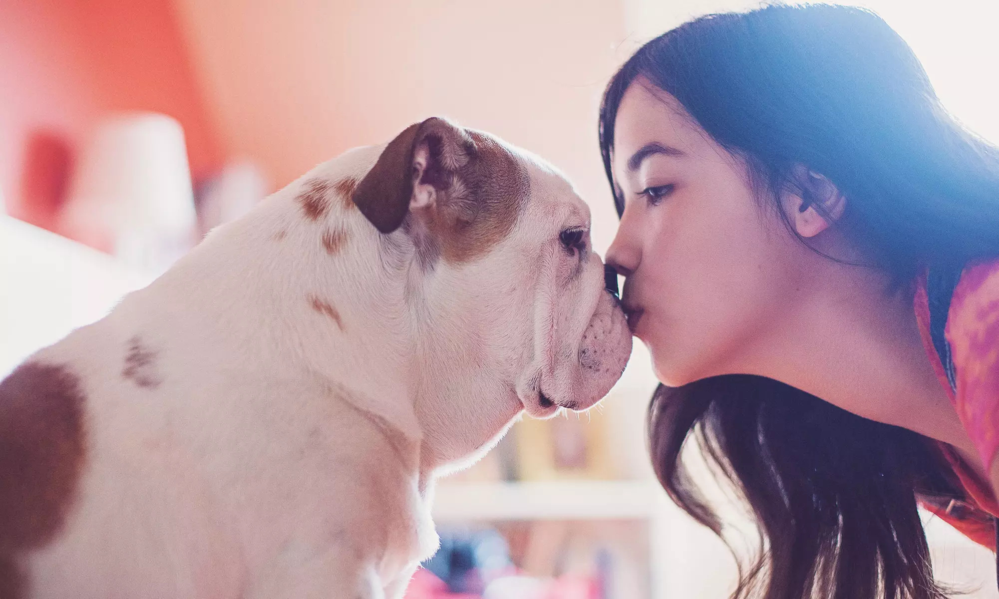 Up to 34% Off on Pet Care - Discount Card at LifePet.Care - Primary Image