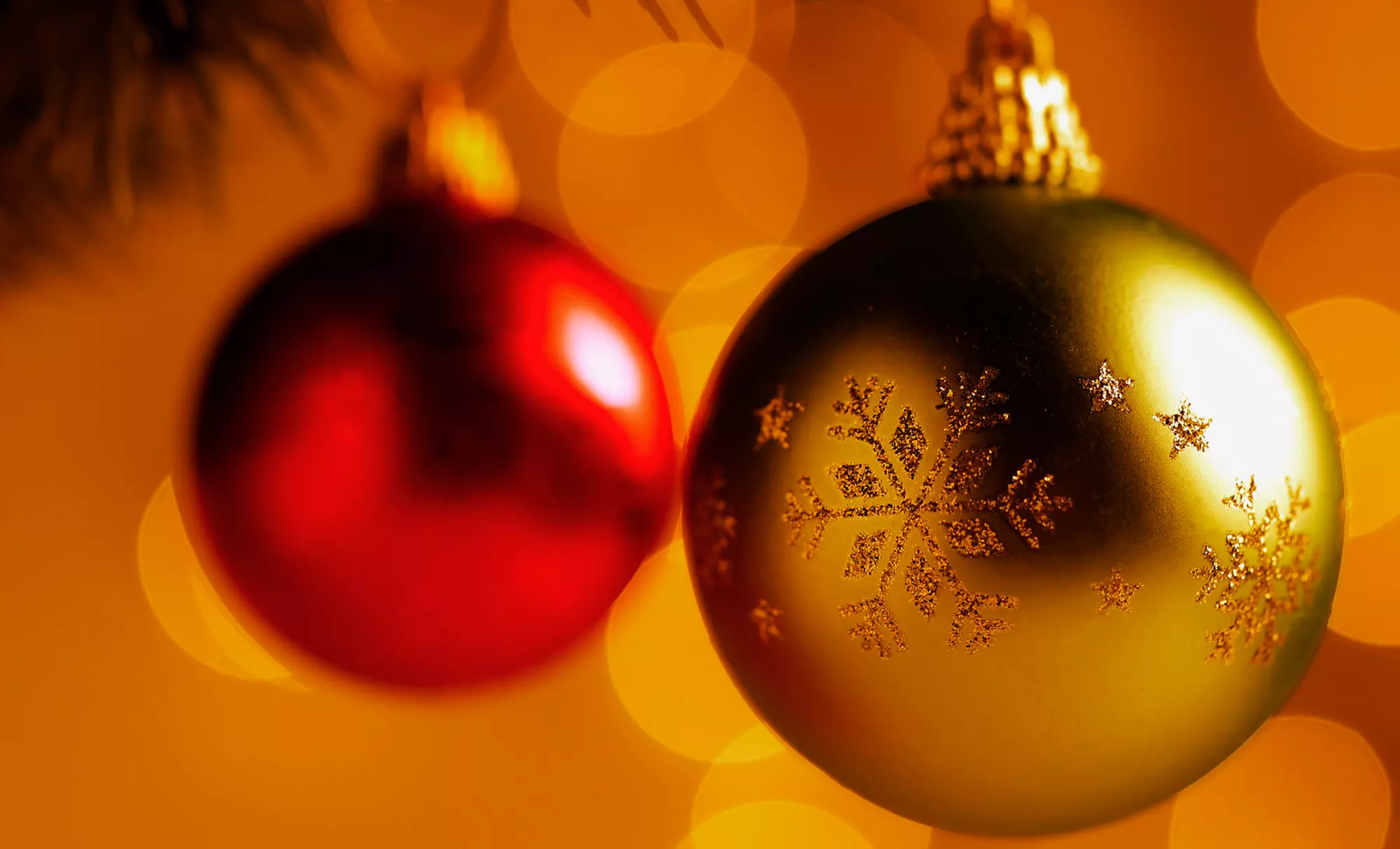 "North Pole Express" Adventure Package at 10:45 a.m. or 2 p.m. on Saturday, December 12 or Sunday, December 13  - Primary Image