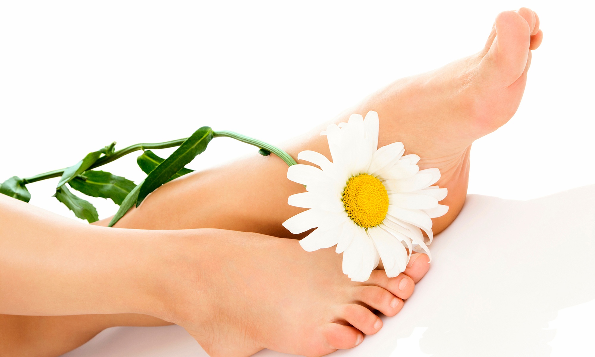 Regular Pedicure and/or Manicure w/ Optional Feet Massage / Gel Polish