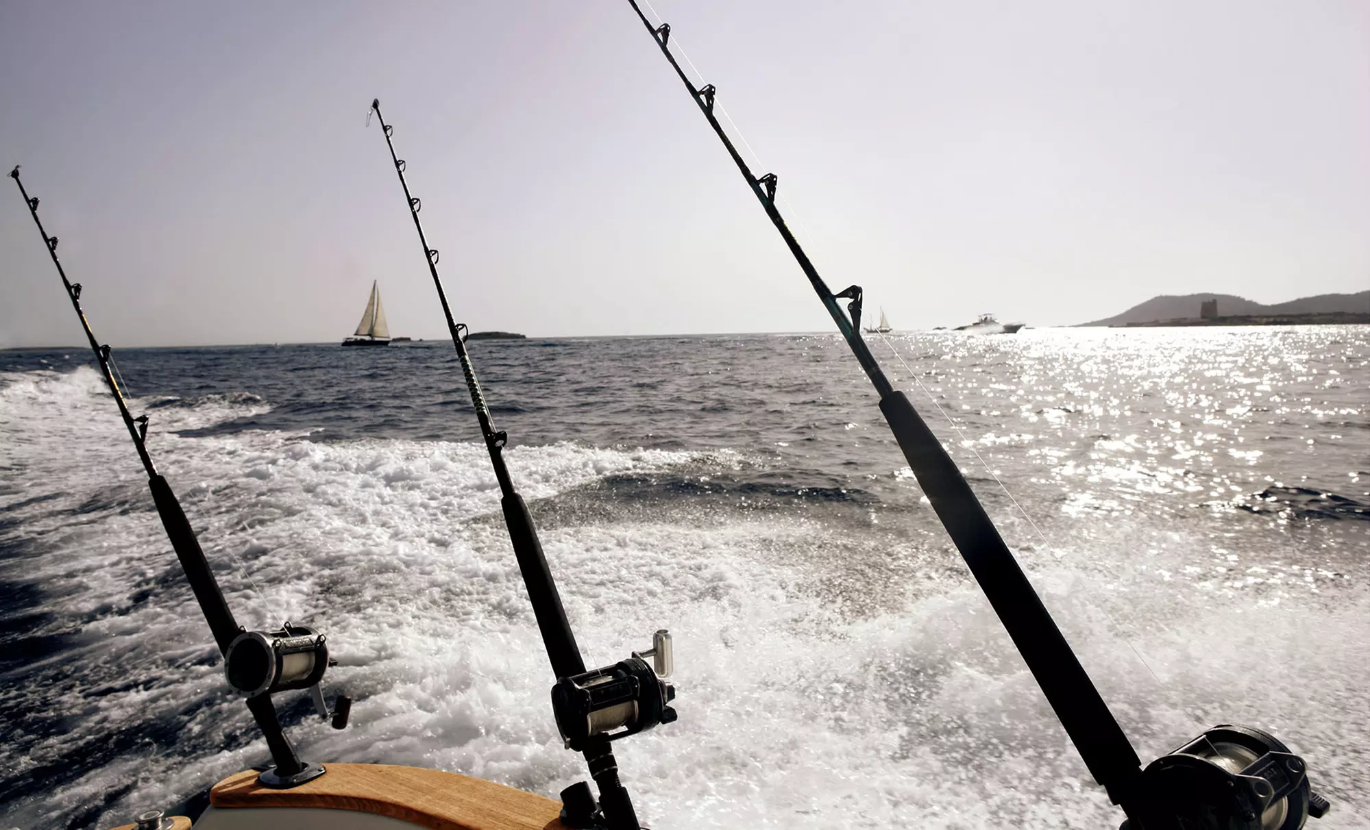 Four-Hour Fishing Charter for One or Three People at Daytona Beach Charters (Up to 50% Off)  - Primary Image