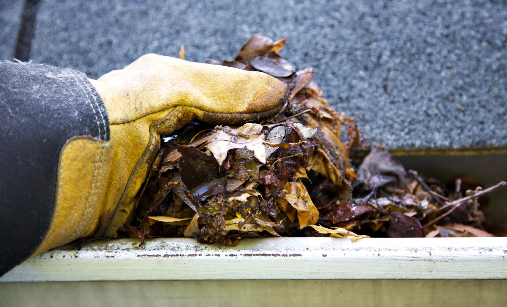 Protect Your Home! Gutter Cleaning for One & Two-Story Homes of Any Size at Wells Legacy Roofing(Up To 40% Off) - Primary Image