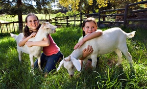 Up to 49% Off Petting-Farm Visit