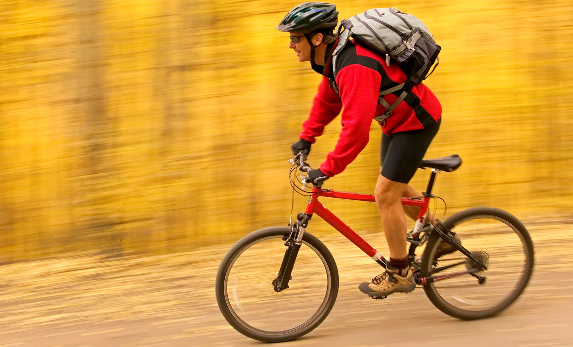 One-Day Bike Tour for One or Two, or Two-Day Bike Tour for One at Sacred Rides (Up to 60%Off) - Primary Image