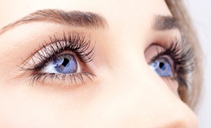 Eyelash and Eyebrow Tint Eyelash and Eyebrow Tint