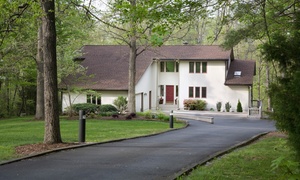 Remotix Pest Control: $15 for $75 Towards Bed Bug, Flea, or Spider Removal from Remotix Pest Control