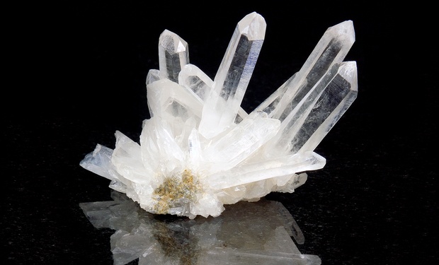 What to expect media