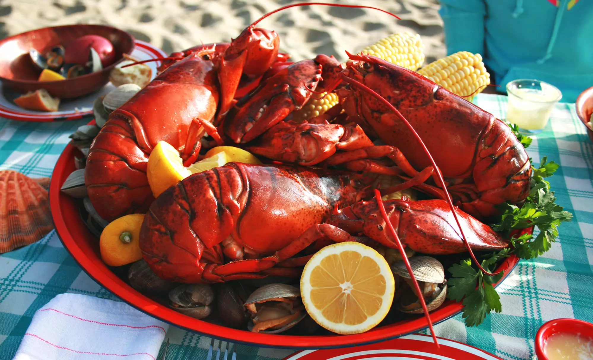 Lobster Bake for 10 or 20 or Pig Roast for 20 from Bentley's Famous BBQ Pig Roast & Lobstah Bakes (Up to 56%Off) - Primary Image