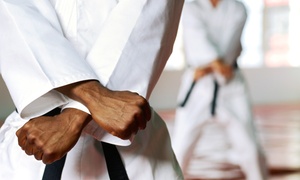 Jing Wu Schule für Kung Fu Fitness & Gesundheit: Kung-Fu oder Tai-Chi Training für alle Altersgruppen in der Jing Wu Schule für Kung Fu Fitness & Gesundheit ab 19,90 €