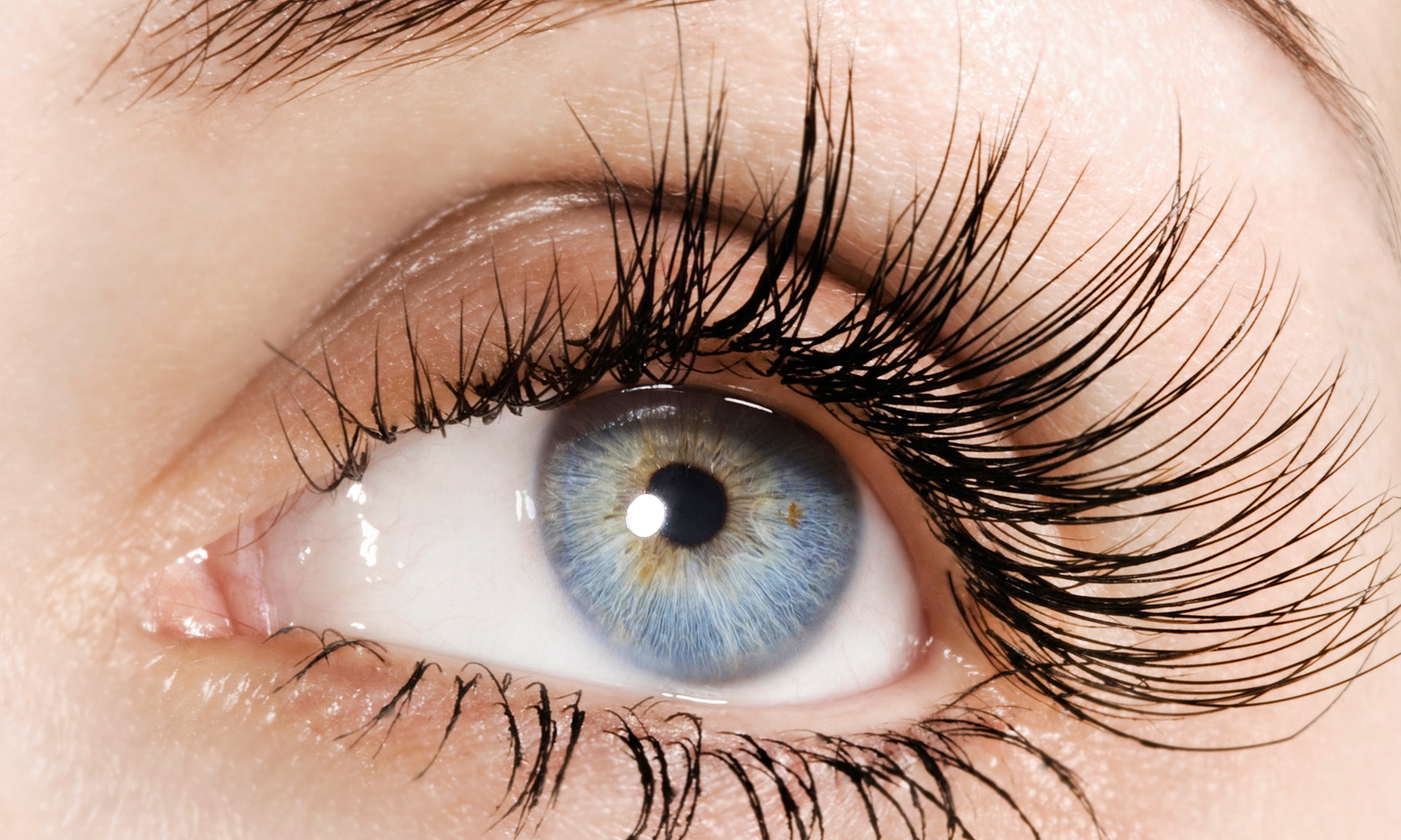 Wimpernlifting oder Wimpernwelle