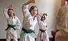 8 or 16 classes of Lil' Dragons Taekwondo ages 3-5 or Taekwondo (5+) at Vortexic Martial Arts (Up to 93% Off) 