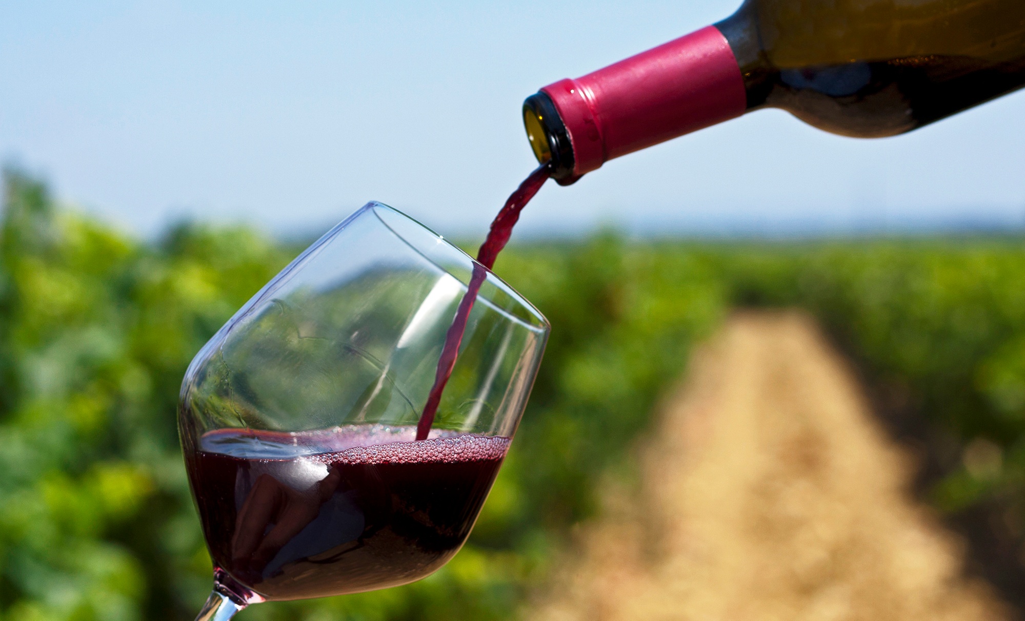 One or Two Glasses of Imported Wine With Cheese or Meat & Cheese Plate