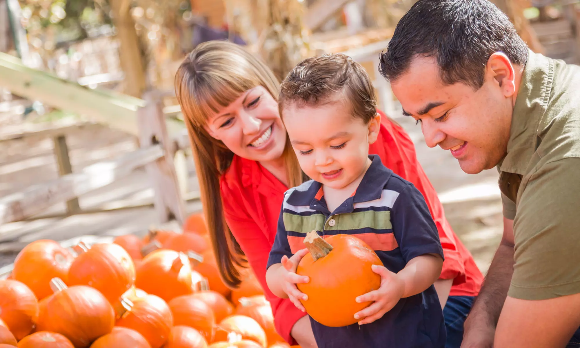 Unlimited Kids' Ride Passes to PumpkinFest Toronto (Up to Half Off) - Primary Image