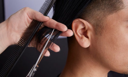 One Men's Haircut and Style - Hair and Tanning by Denise