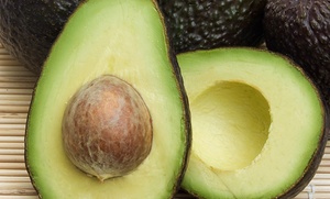 98% Off Online Nutrition Courses