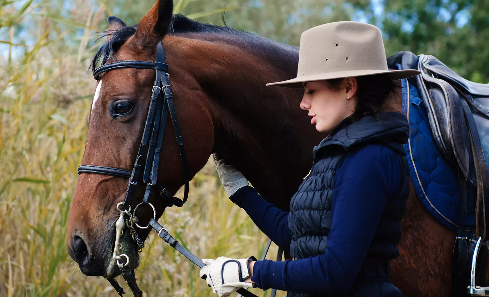 Up to 50% Off on Horse Back Riding - Training at Paws of Love CT - Primary Image