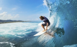 Learn to Surf! 90-Minute Lesson