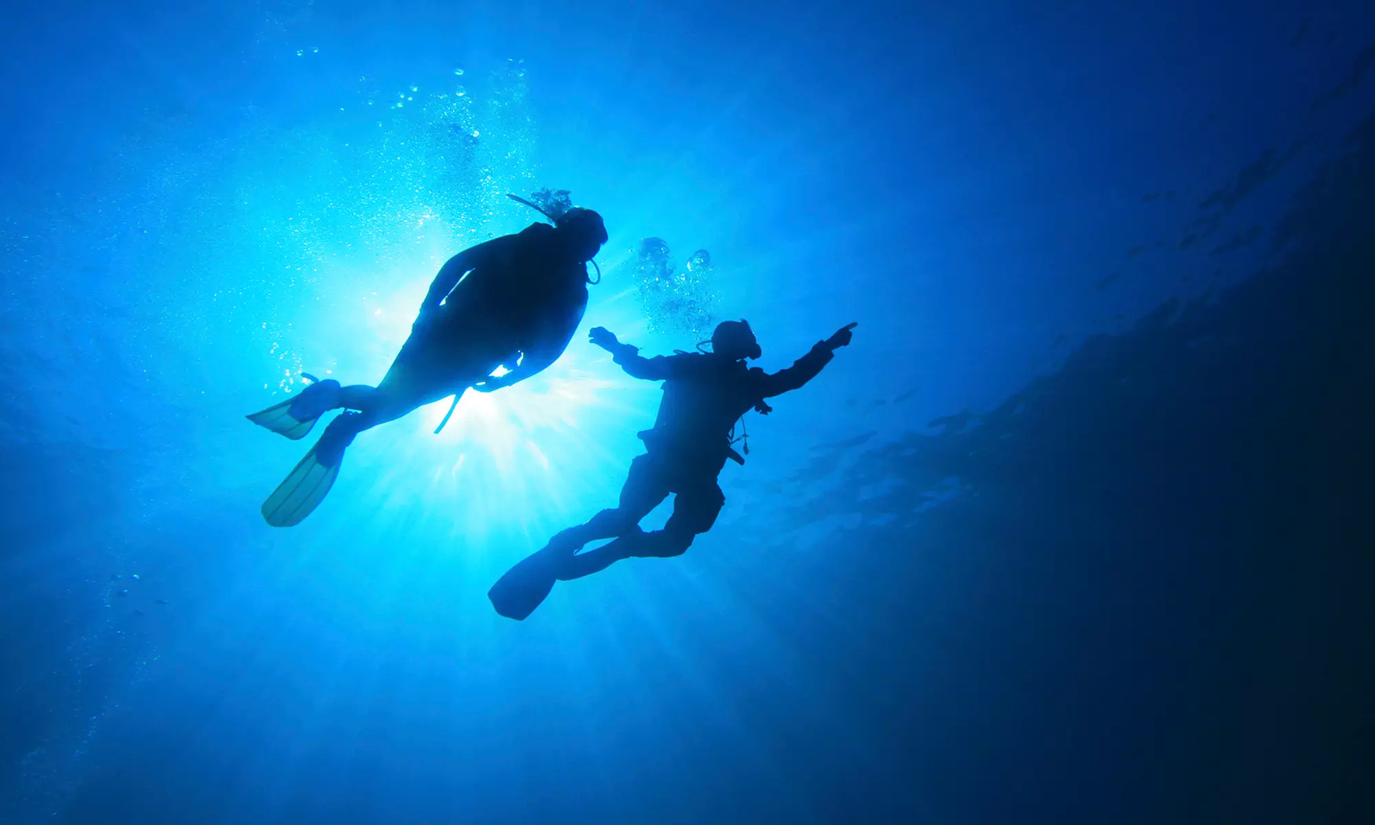 $128 for Open-Water Referral Diver Program and 20% Off Gear at Ocean Safari Scuba ($198 Value)  - Primary Image