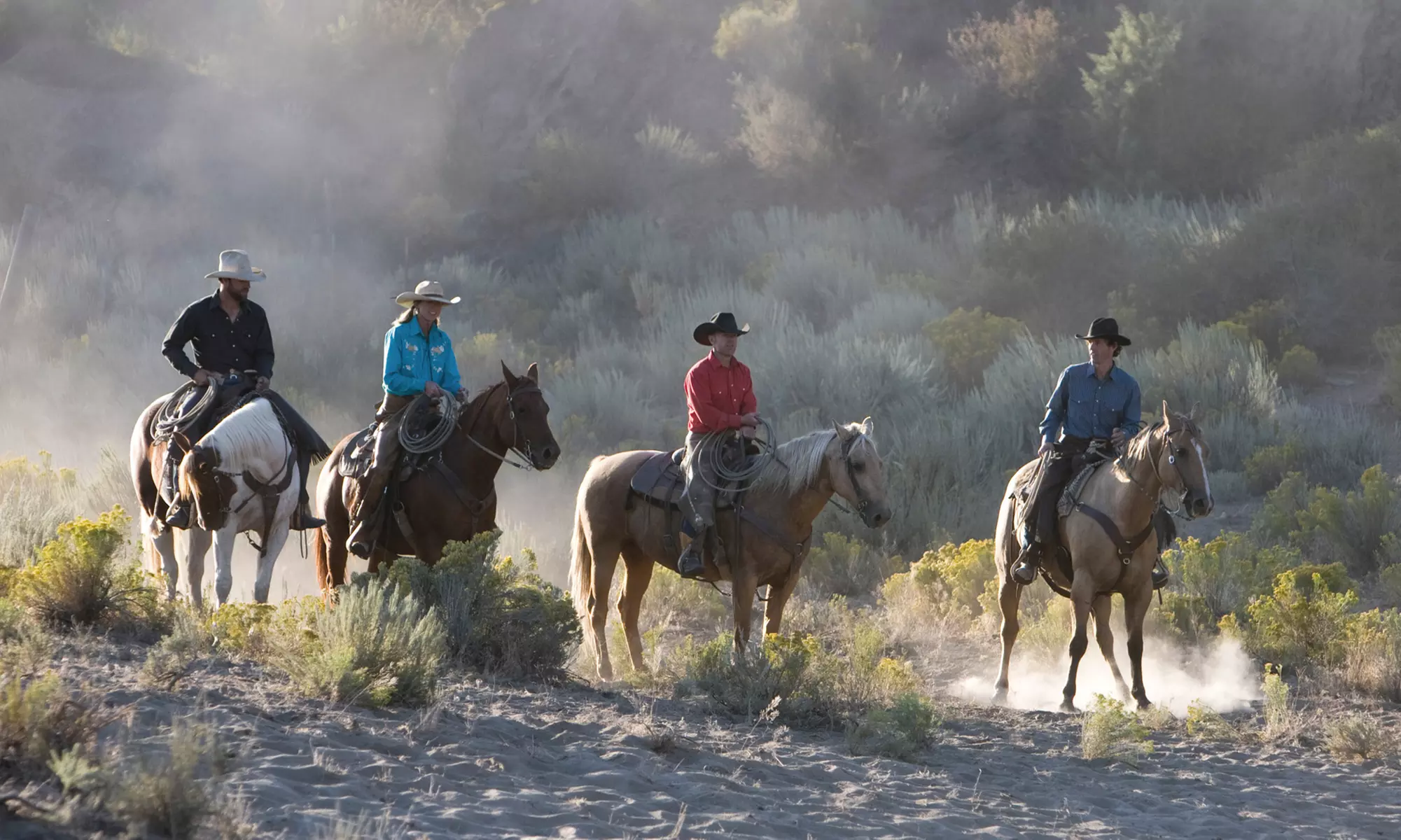 Horseback Trail Ride for One, Two, or Four at Star HB Farms (Up to 51% Off) - Primary Image