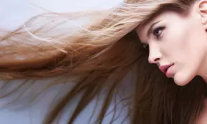 Estudio capilar personalizado del pelo y el cuero cabelludo para 1 en Buffet de la Salud (86% de descuento)