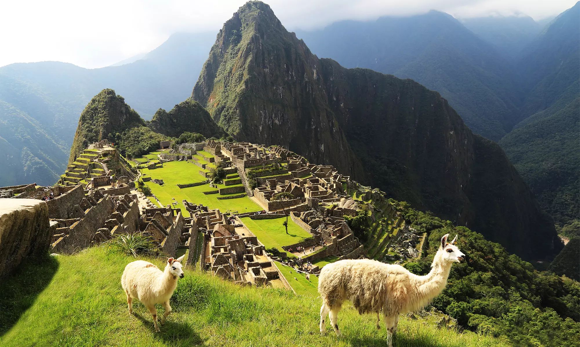 ✈ 5-Day Peru Tour with Airfare from Gate 1 Travel. Price per Person Based on Double Occupancy (Buy 1 Groupon/Person). - Primary Image