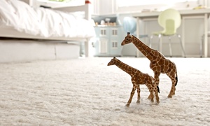 E K A Y Laundry LLC: Carpet Cleaning for Up to 15 Square Metres from E K A Y Laundry (Up to 47% Off)