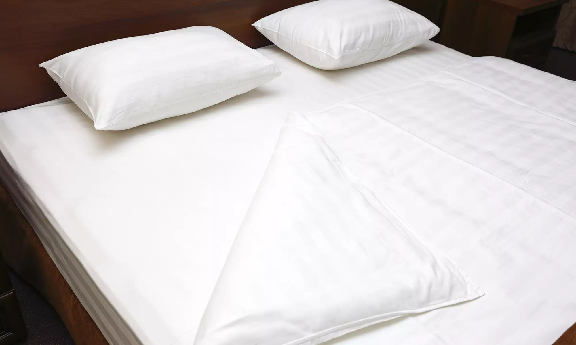Bed Bug Inspection for a Two- or Four-Bedroom Home from GTA Bed Bug Exterminators (Up to 61% Off) - Primary Image
