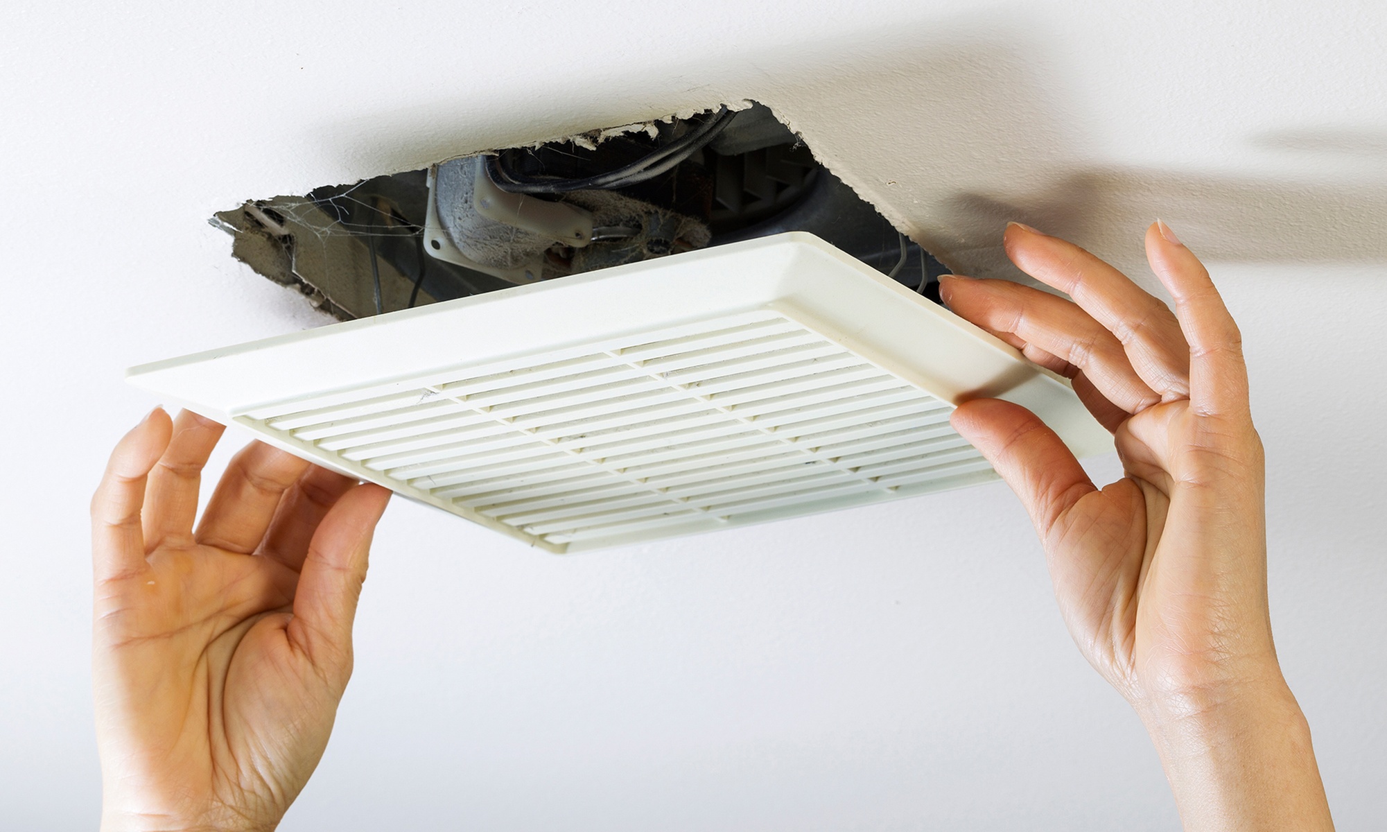 Dryer Vent or Chimney Cleaning Package, Air Duct Cleaning and More