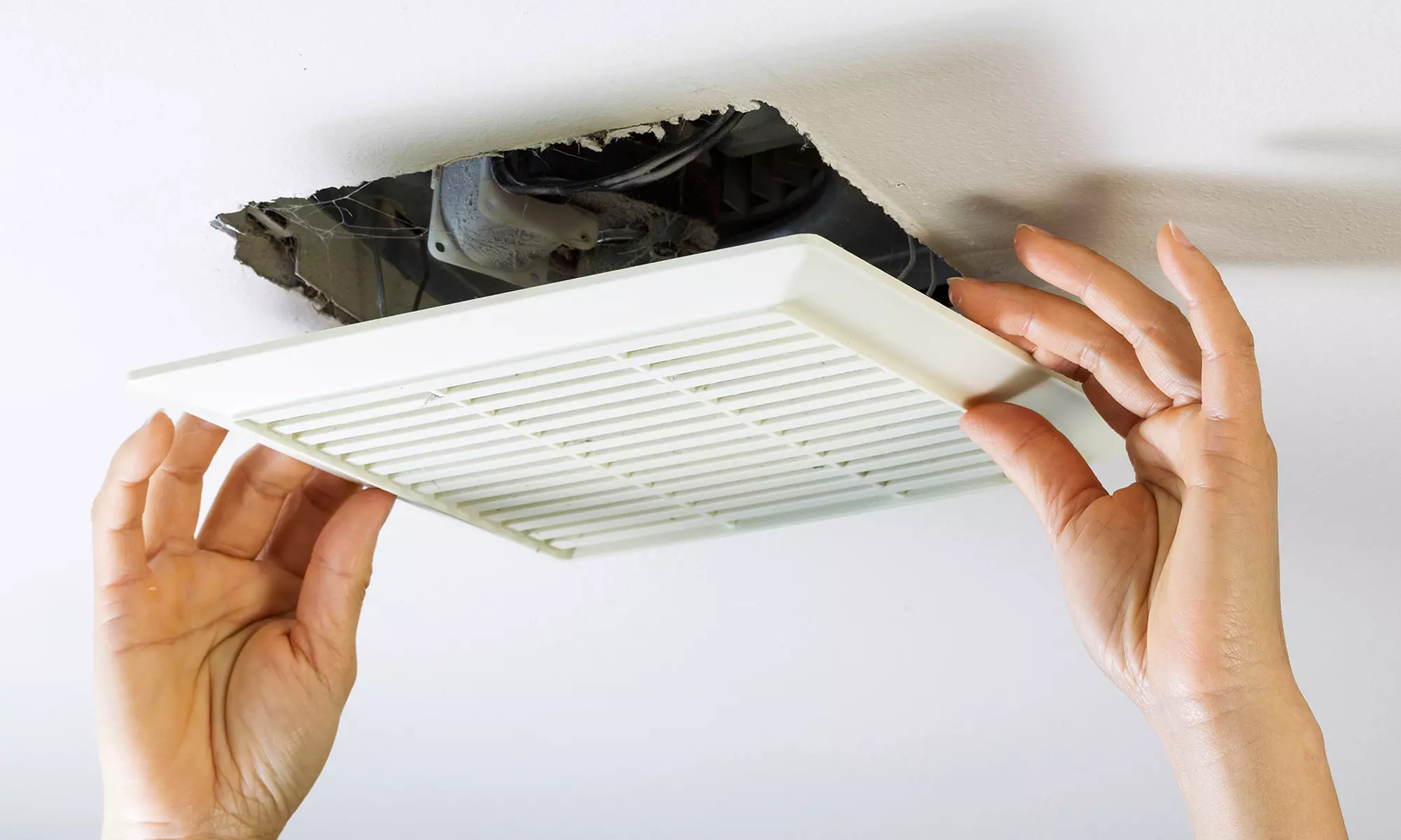 Dryer Vent or Chimney Cleaning Package, Air Duct Cleaning and More