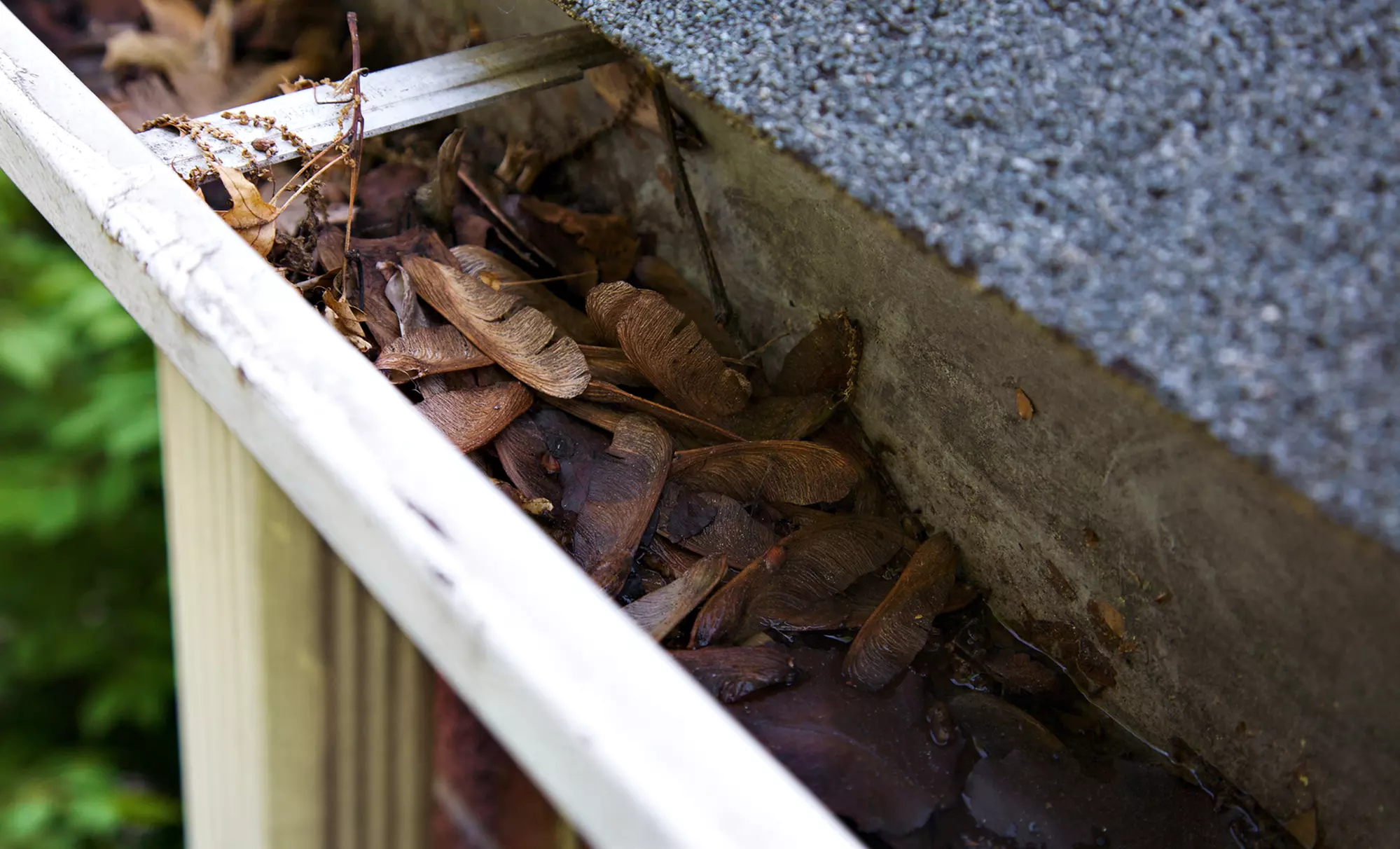 Professional Gutter Cleaning for One or Two Story Home from Metroplex Window & Gutter Cleaning (Up to 46% Off) - Primary Image
