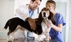 Up to 47% Off on Vet at Garbizo Animal Clinic