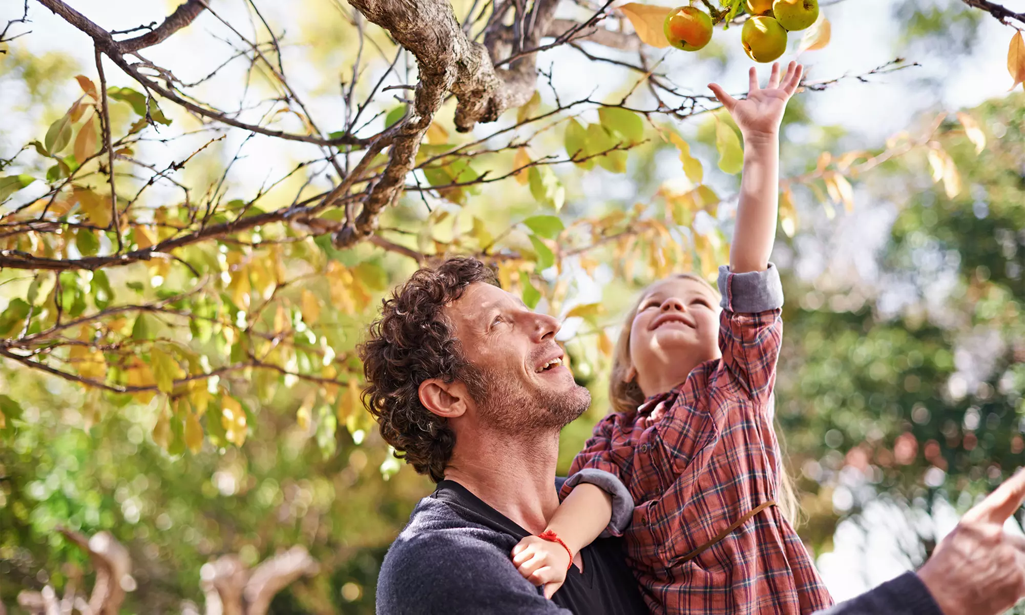 Father's Day Special: 30 Min Instudio Shoot with Six or Twelve Edited Photos at Atila Media (Up To 60% Off) - Primary Image