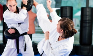A.S.D. Lanterna Taekwondo Genova: 10 o 20 lezioni di taekwondo (sconto 78%)