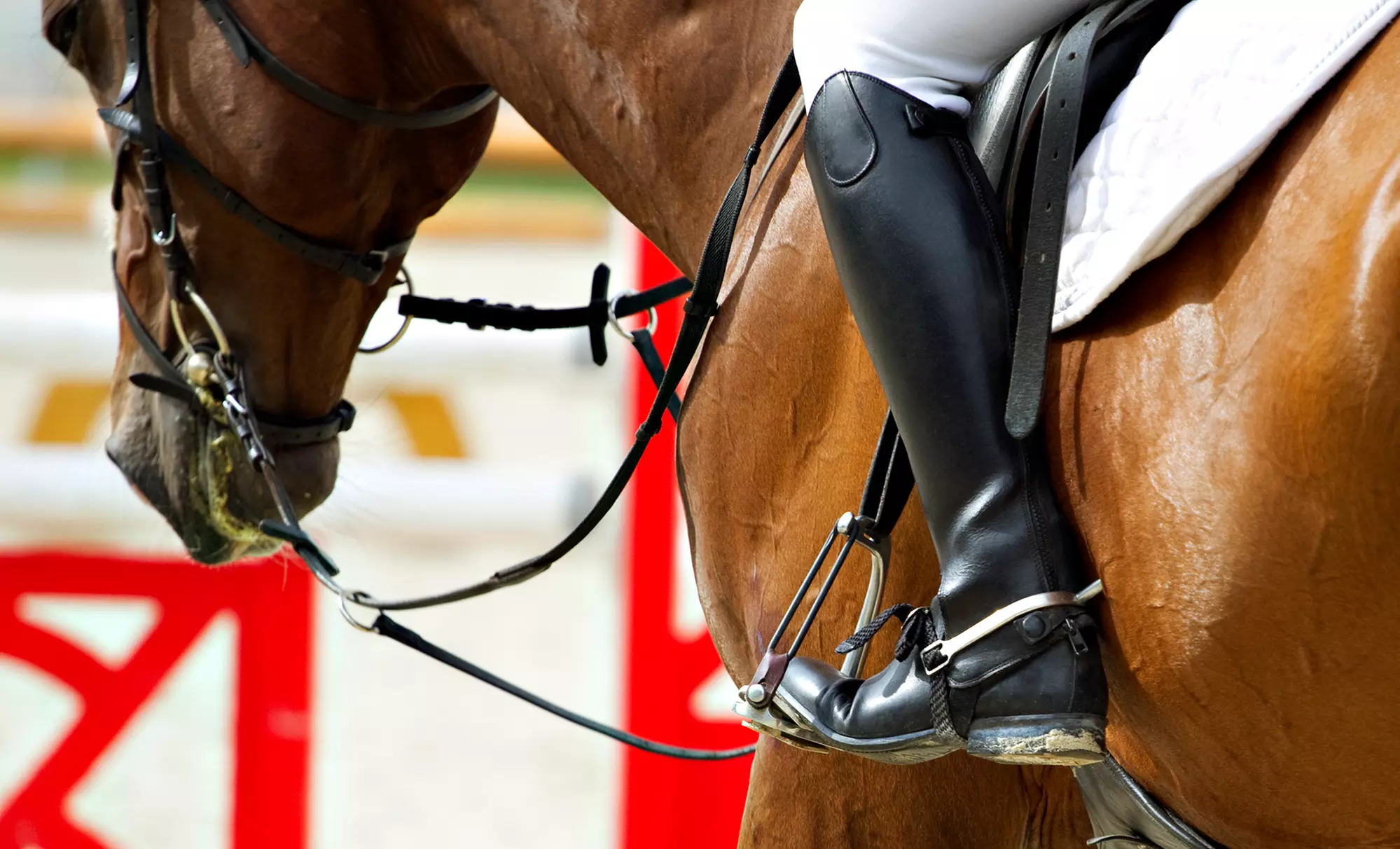 Up to 50% Off on Horse Back Riding - Training at Campton Hills Equestrian Center - Primary Image
