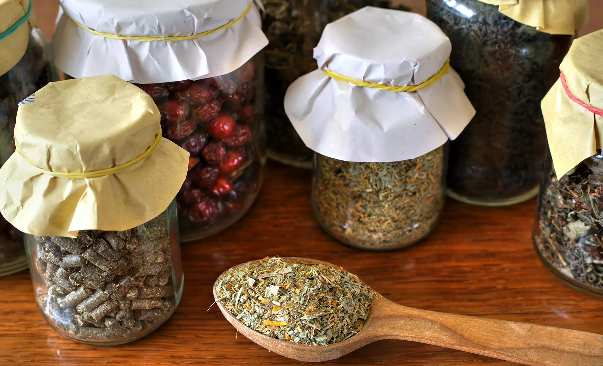 Herbalism: Introduction And Medicine Making (97% Off)  - Primary Image