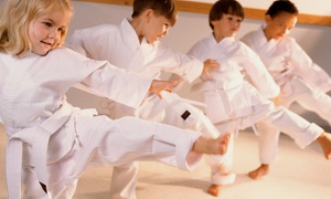 The Oriental Martial Arts College: $21 for 12 Martial Arts & Kimoodo Healing Arts Classes with Uniform ($350 Value)
