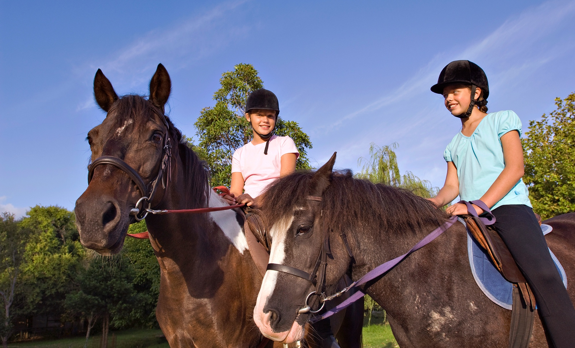 Introductory Horseback Riding Lessons for Beginners