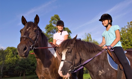 One 30-Minute Intro Horse Back Riding Lesson; Valid Any Day - Four Star Ranch