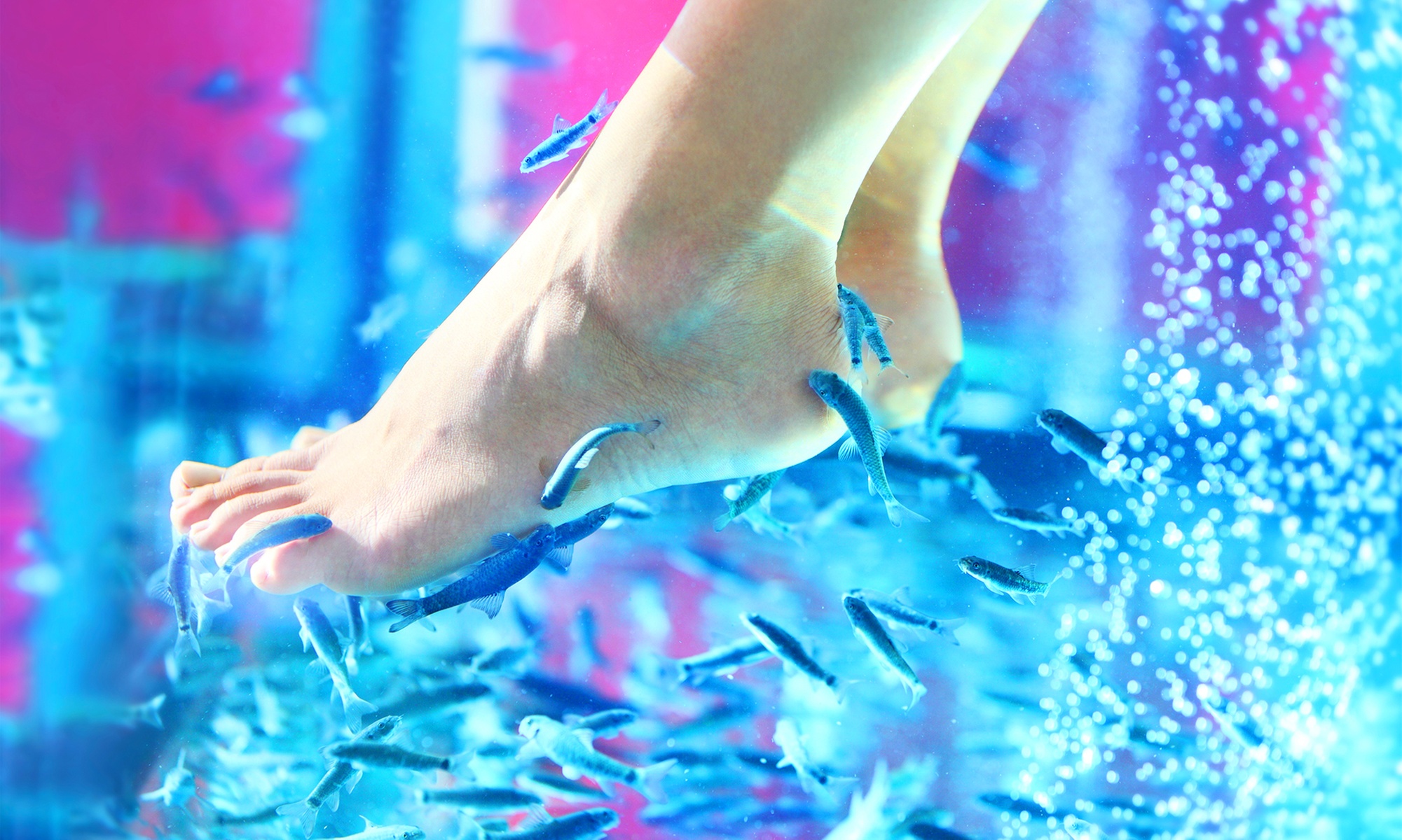 Fish Spa Treatment or Ionic Detox at Dr Fish Spa