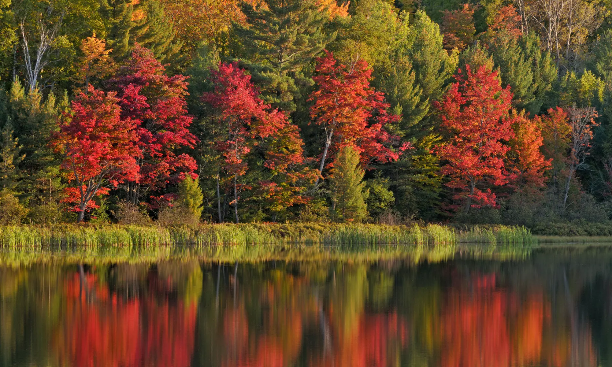 Stay at Holiday Inn Oneonta-Cooperstown Area in New York. Dates into January 2018. - Primary Image