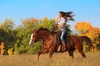 Explore ranch life with Maverick Horseback Riding's audit classes offering hands-on experience in ranch operations, up to 50% off