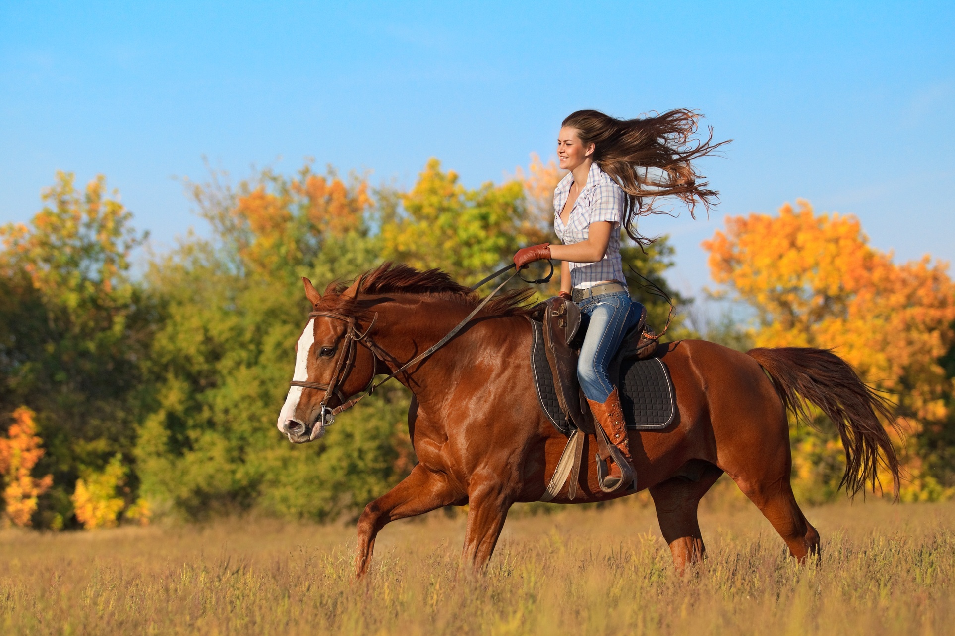 Join Three Audit Classes for a Fun Ranch Experience