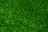Up to 50% Off on Landscaping at Fernando Lawn Services