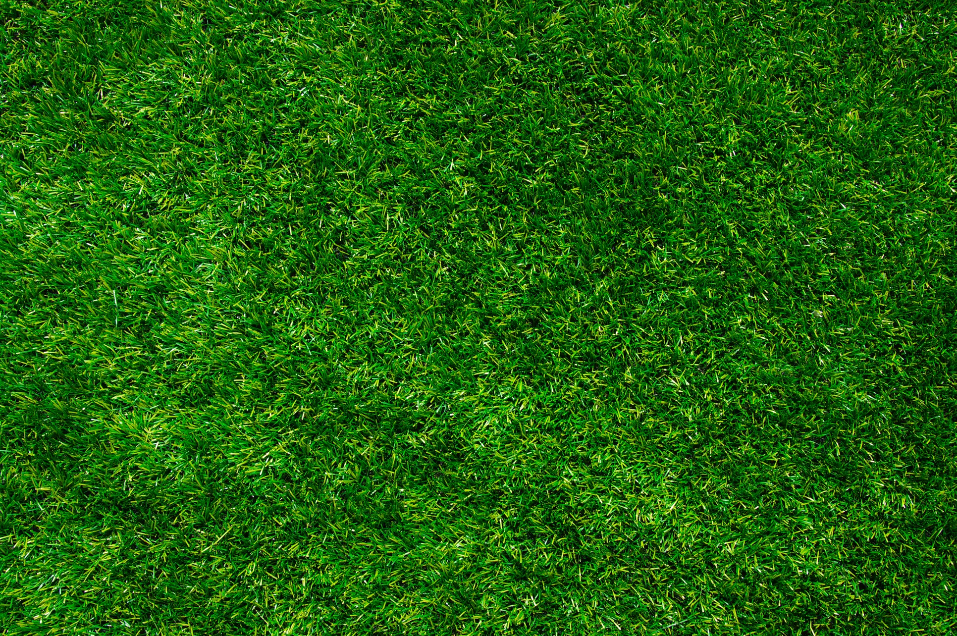 Up to 50% Off on Landscaping at Fernando Lawn Services - Primary Image