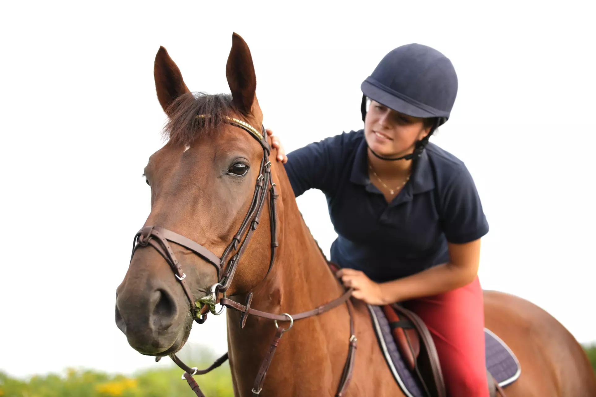 Up to 20% Off on Horse Back Riding at King Equestrian Center - Primary Image